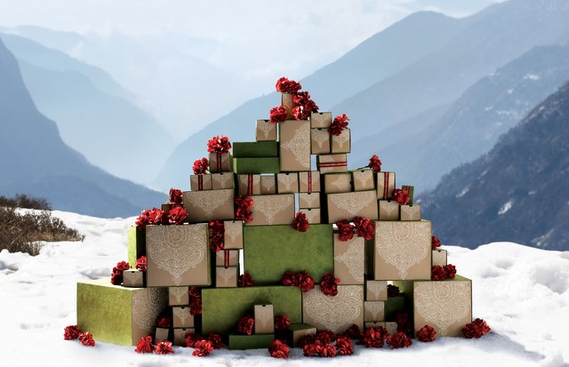 aveda gift this Christmas